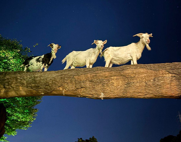 旅の途中を感じさせるエモい雰囲気！