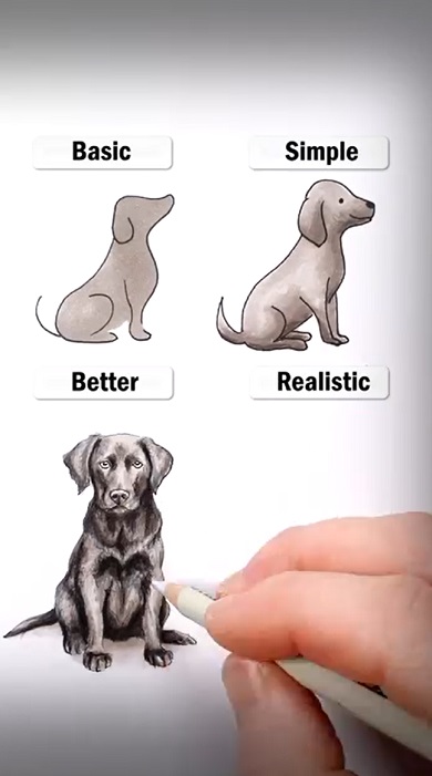 ワンちゃんかわいい02