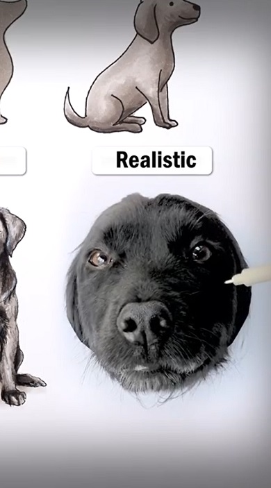 ワンちゃんかわいい03