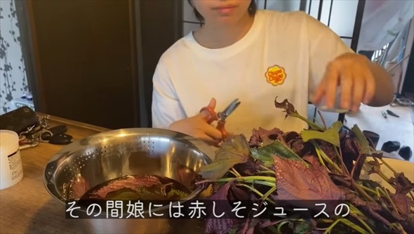 自閉スペクトラム症を抱える息子と古民家をDIY