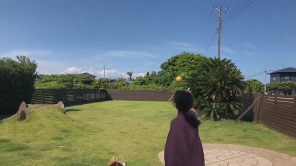 愛犬とボールで遊ぶ女性