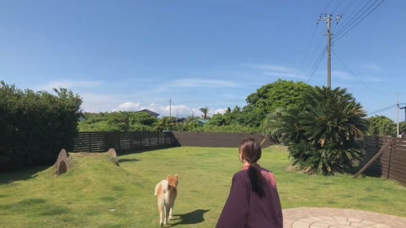 愛犬とボールで遊ぶ女性