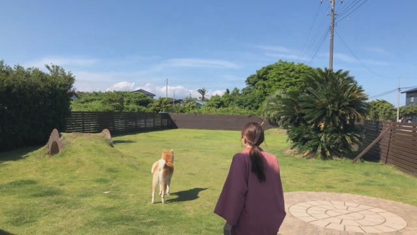 愛犬とボールで遊ぶ女性