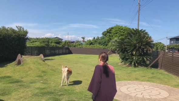 愛犬とボールで遊ぶ女性