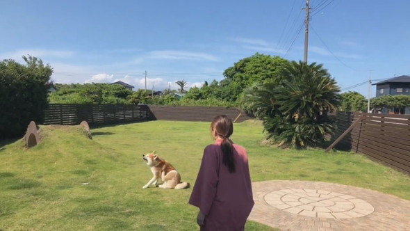 愛犬とボールで遊ぶ女性