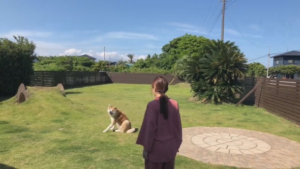 愛犬とボールで遊ぶ女性