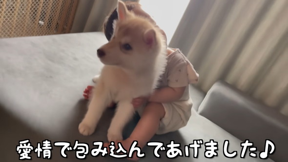 赤ちゃんと赤ちゃんハスキーワンコの触れ合い
