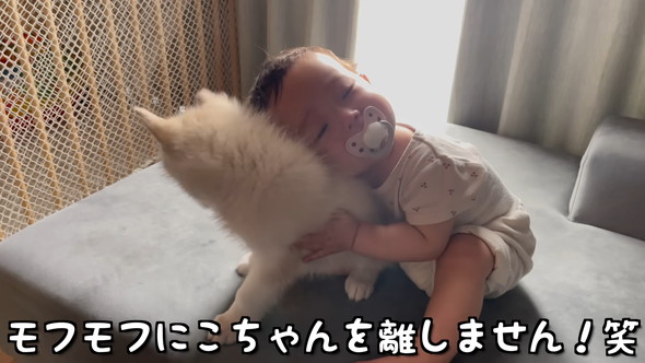 赤ちゃんと赤ちゃんハスキーワンコの触れ合い