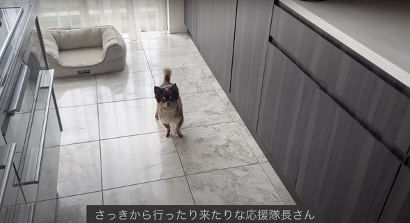 業スーフル活ごはん