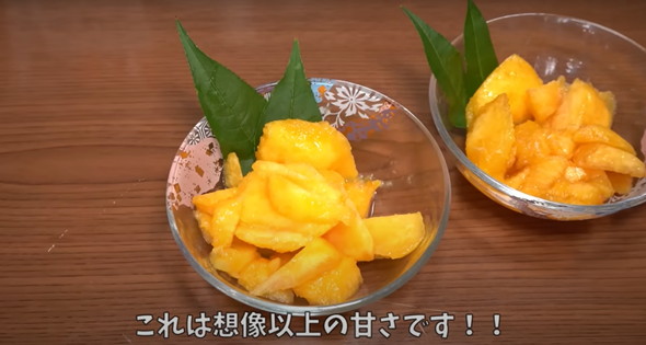 食べた桃の種を植えて4年後