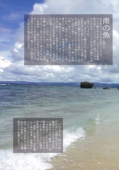 同人誌『南の魚は美味しい！』