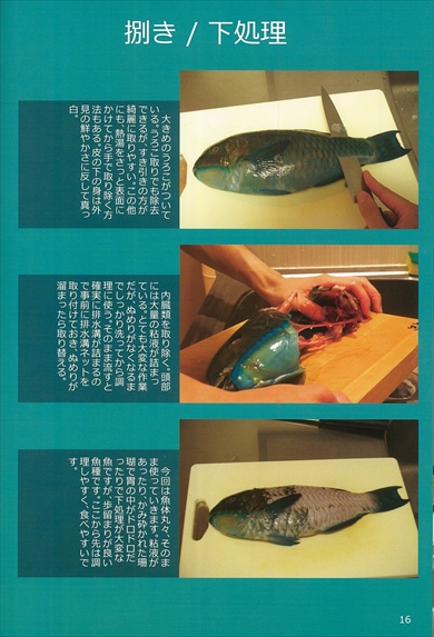 同人誌『南の魚は美味しい！』