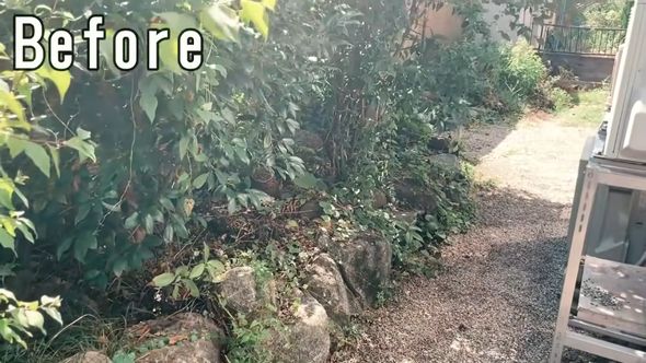 外構工事のプロがリフォームを行う前の庭