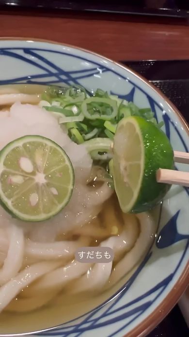 丸亀製麺で見かけたスダチを種から育てていく