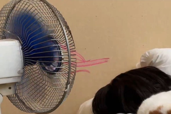 夏バテで横になっている女性