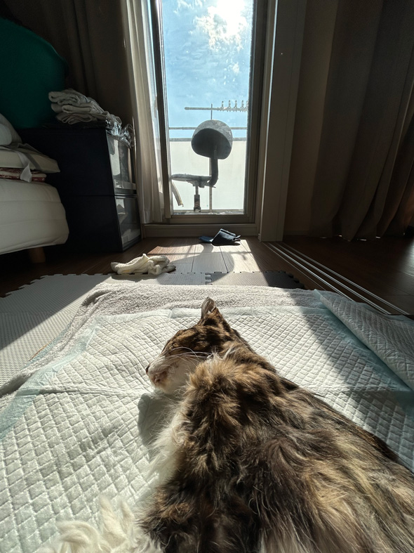 息を引き取ったヤマダくん