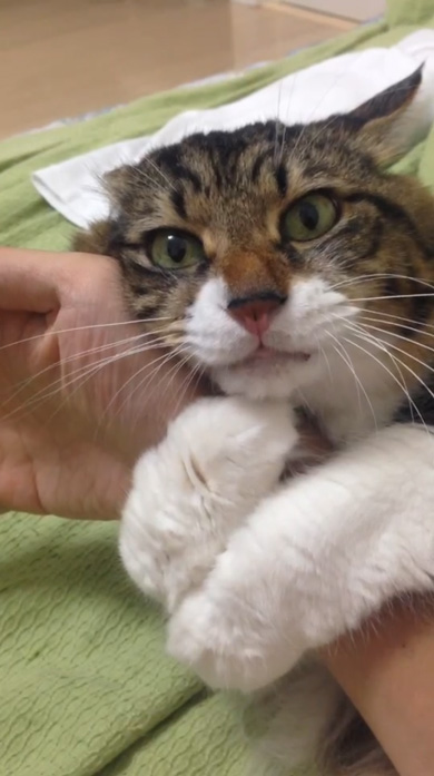 腕に抱きつくヤマダくん