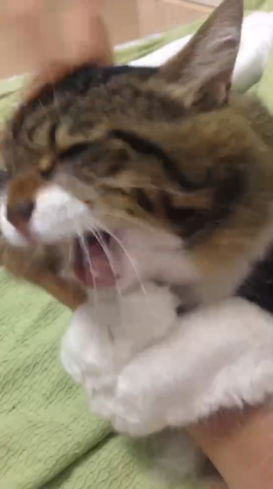 腕に抱きつくヤマダくん