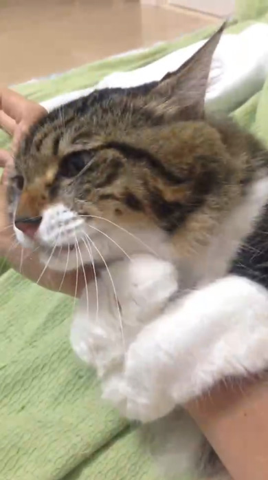 腕に抱きつくヤマダくん