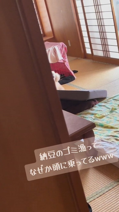 納豆パックを頭に乗せているワンコ