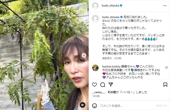 工藤静香の枯れた藤棚