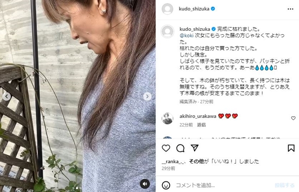 工藤静香の枯れた藤棚