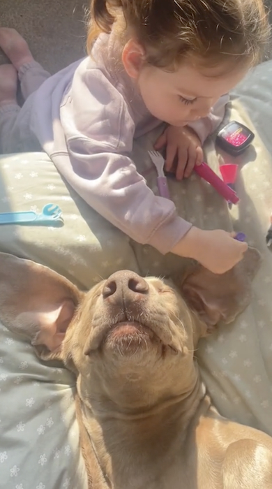 ごっこ遊びする犬とこども