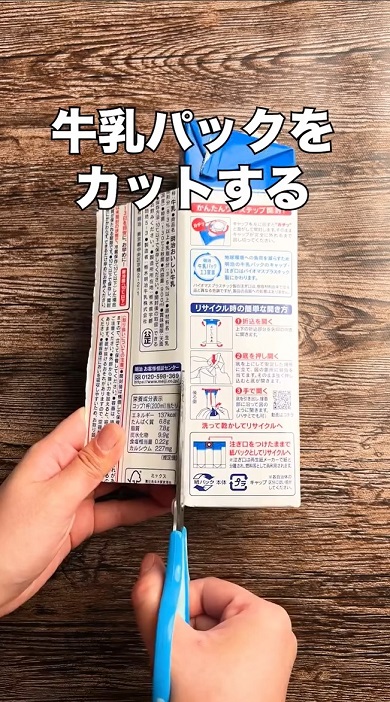 豆苗シンデレラ02