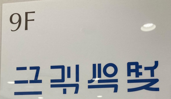 ニューコリアパラダイス ハングル 日本人にしか読めない文字 ロゴ デザイン 片仮名