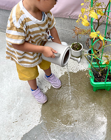 寝起きの4歳児が植物の水やりをしたら……