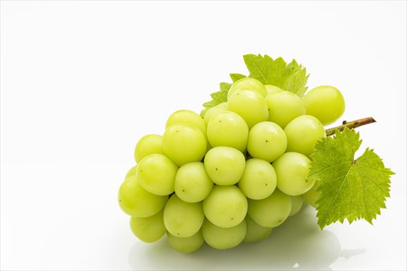 シャインマスカット