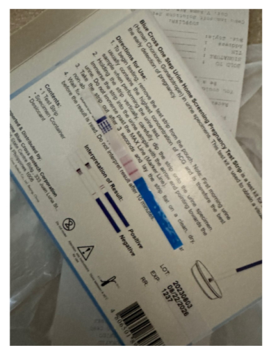 でっぱりんが妊娠