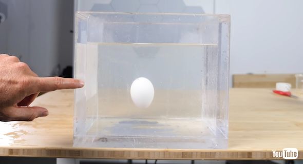 中性浮力下での卵の落下実験