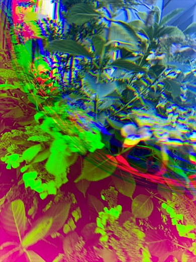 iPhoneの壊れたカメラで撮影したサイケデリックな写真