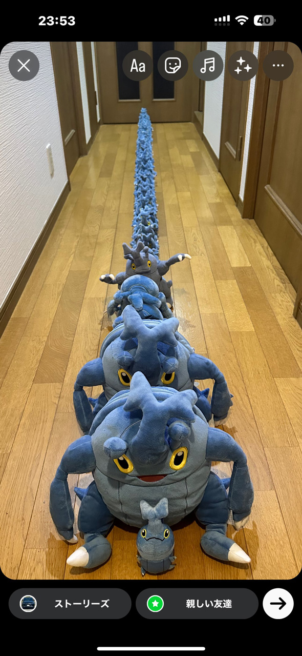 ポケモン ヘラクロス ぬいぐるみ 大量 隊列 行列 ファン コレクション 推し