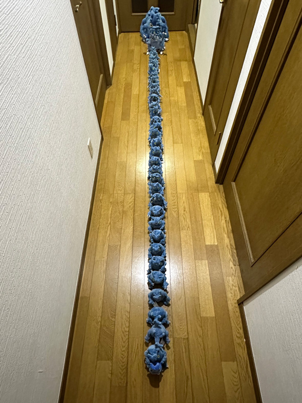 ポケモン ヘラクロス ぬいぐるみ 大量 隊列 行列 ファン コレクション 推し