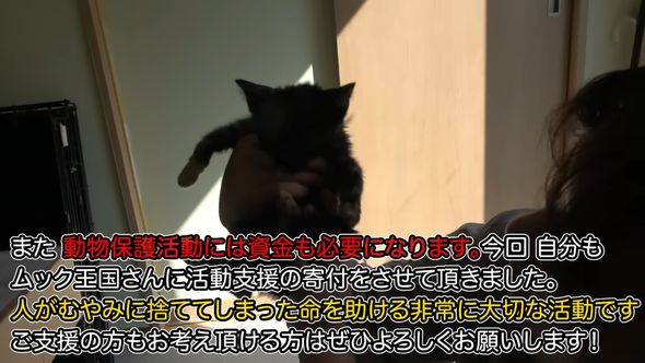 ムック王国の活動支援を寄付したと報告する投稿者