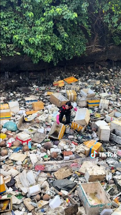 ごみだらけの空間を掃除