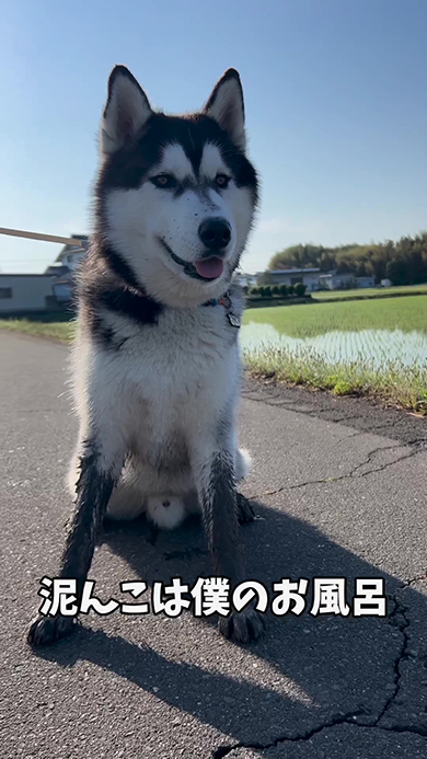 泥んこ