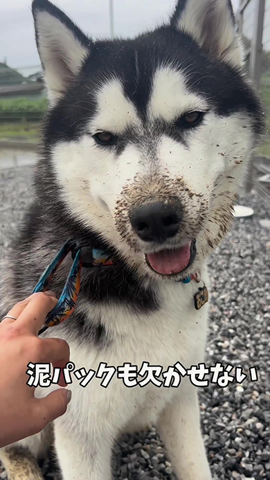 泥パック