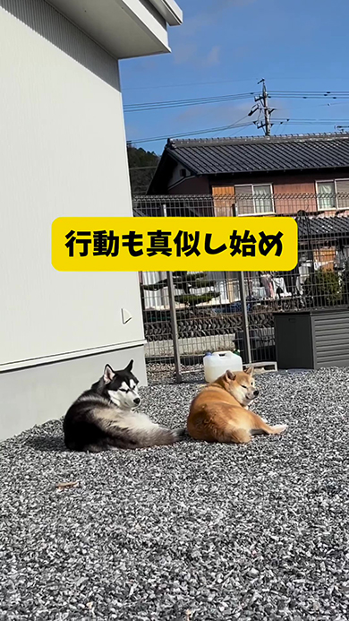 行動もまね