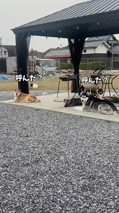 呼んだ？