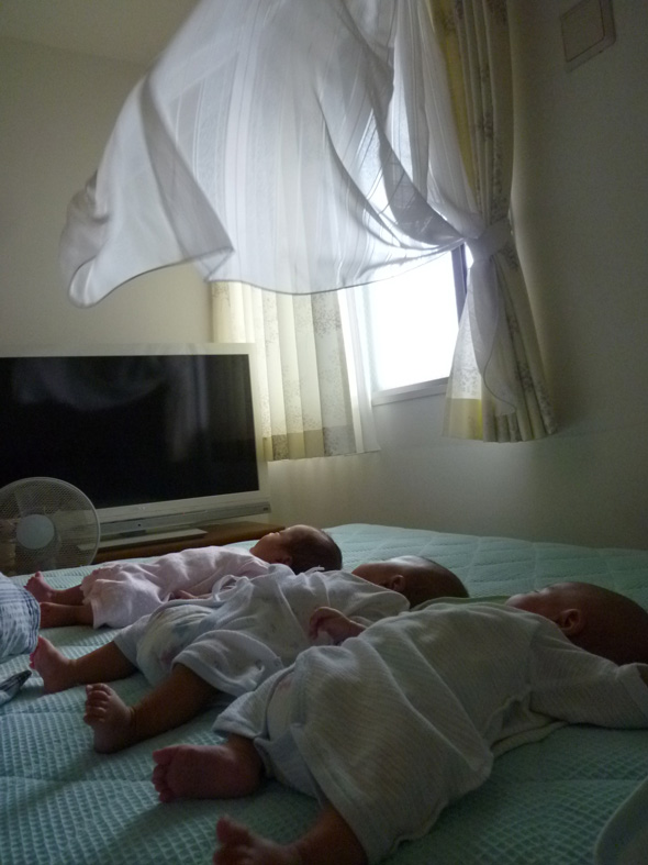 三つ子 赤ちゃん 川の字 並んだ 寝姿 お昼寝 二度と撮れない画像