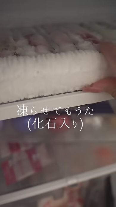 冷凍室に氷の壁を発生させてしまった