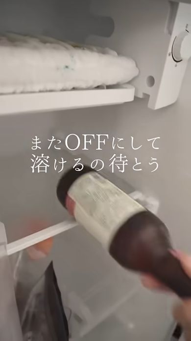 冷凍室をオフにしたので冷蔵庫内の物を取り出す