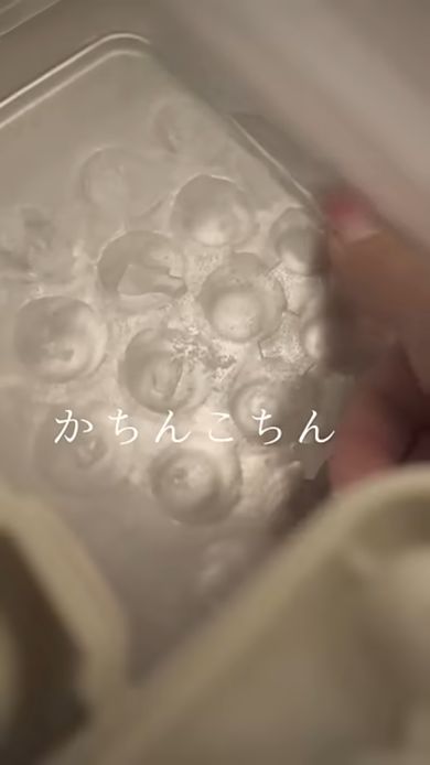 製氷室の物を取り出す