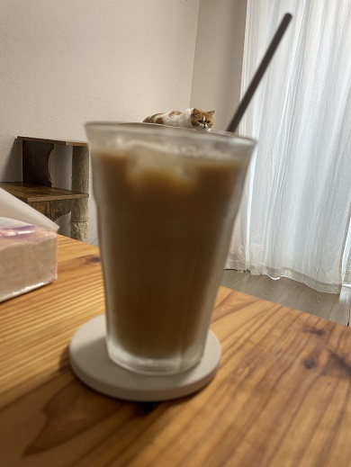 カフェラテのトッピングかのように写っているニャンコ
