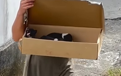 箱を抱えて帰宅した夫