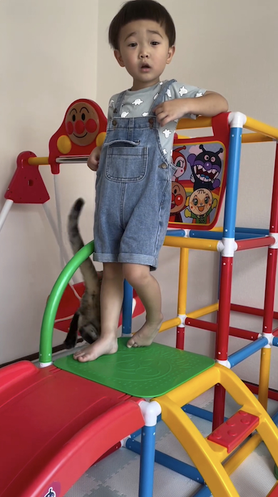 猫と遊ぶ息子