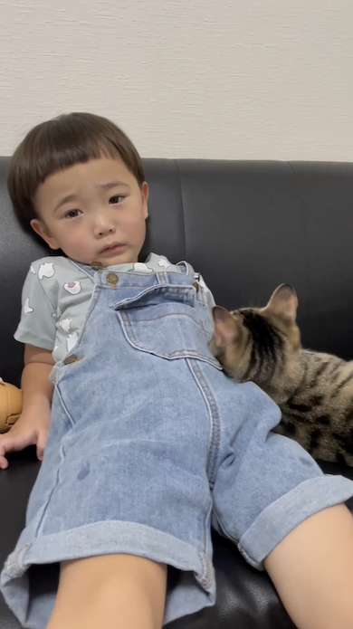 猫が息子に寄り添う